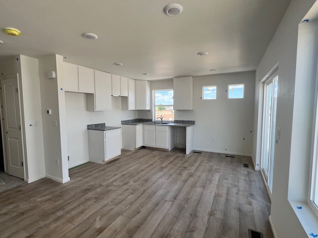 Completed kitchen and living area renovation
